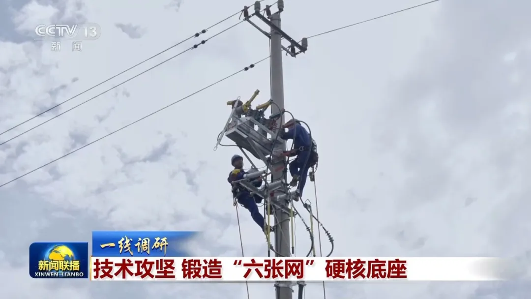六张网6.webp