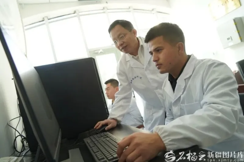 新能源2.webp